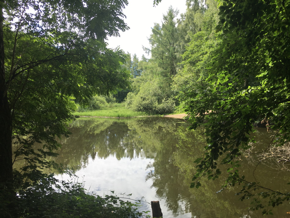 IMG 0396 0950x0713