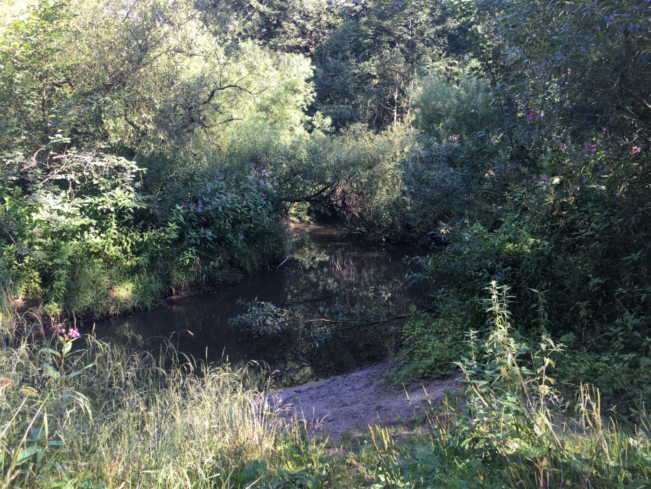 IMG 0897 0950x0713