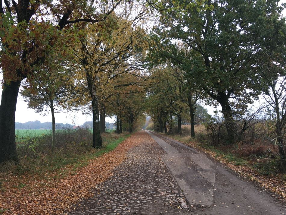 IMG 2520 0950x0713