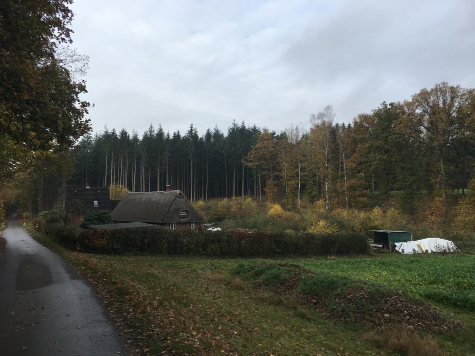 IMG 2570 0950x0713