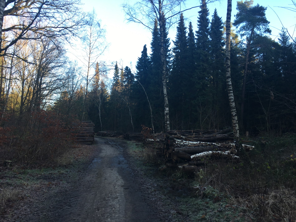 IMG 2831 0950x0713