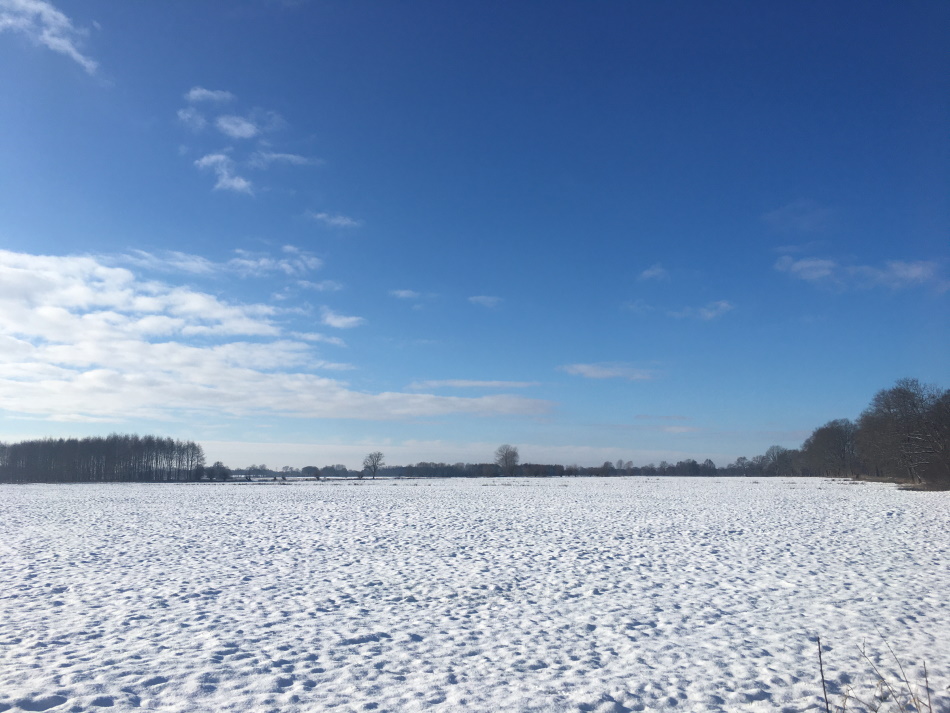 IMG 3215 0950x0713