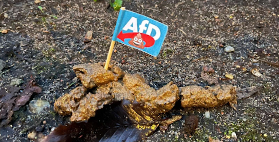250128 AfD Faehnchen Anleitung 0900x0459
